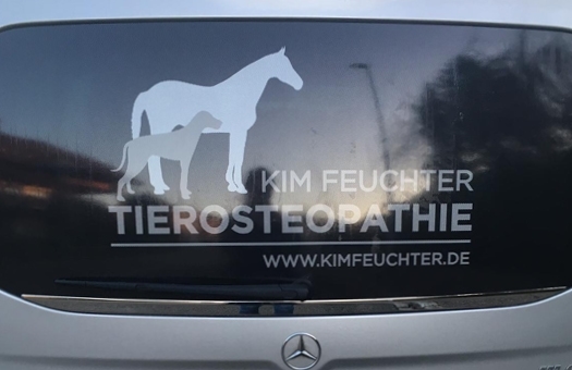 Design für Beklebung Heckfenster PKW mit Logo Kim Feuchter